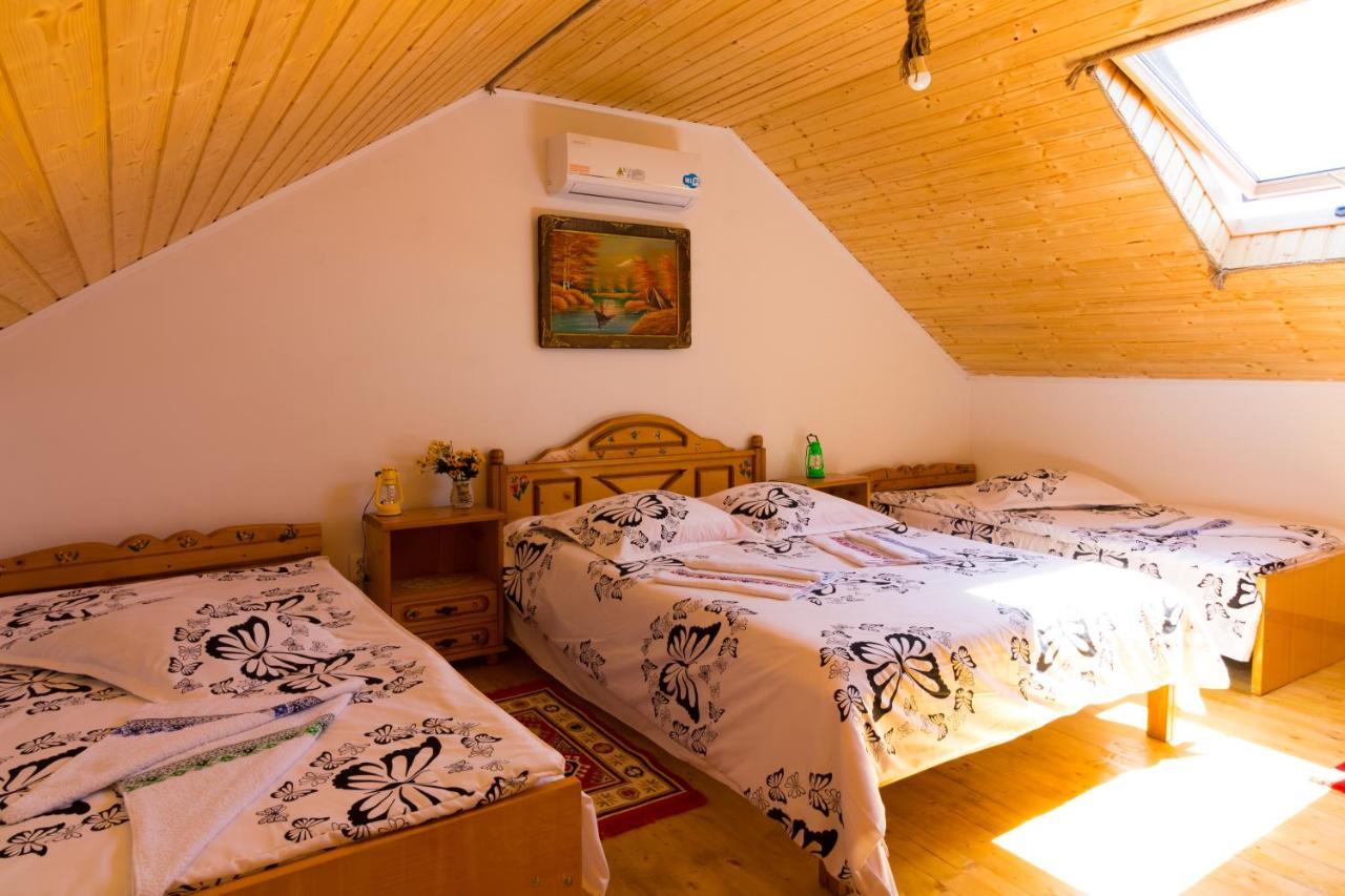 Casa De Vacanta Marya Baia de Fier Luaran gambar