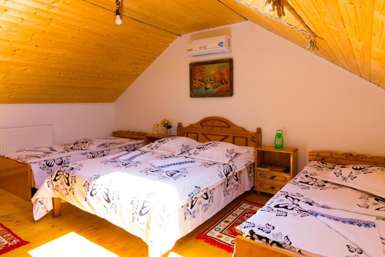 Casa De Vacanta Marya Baia de Fier Luaran gambar