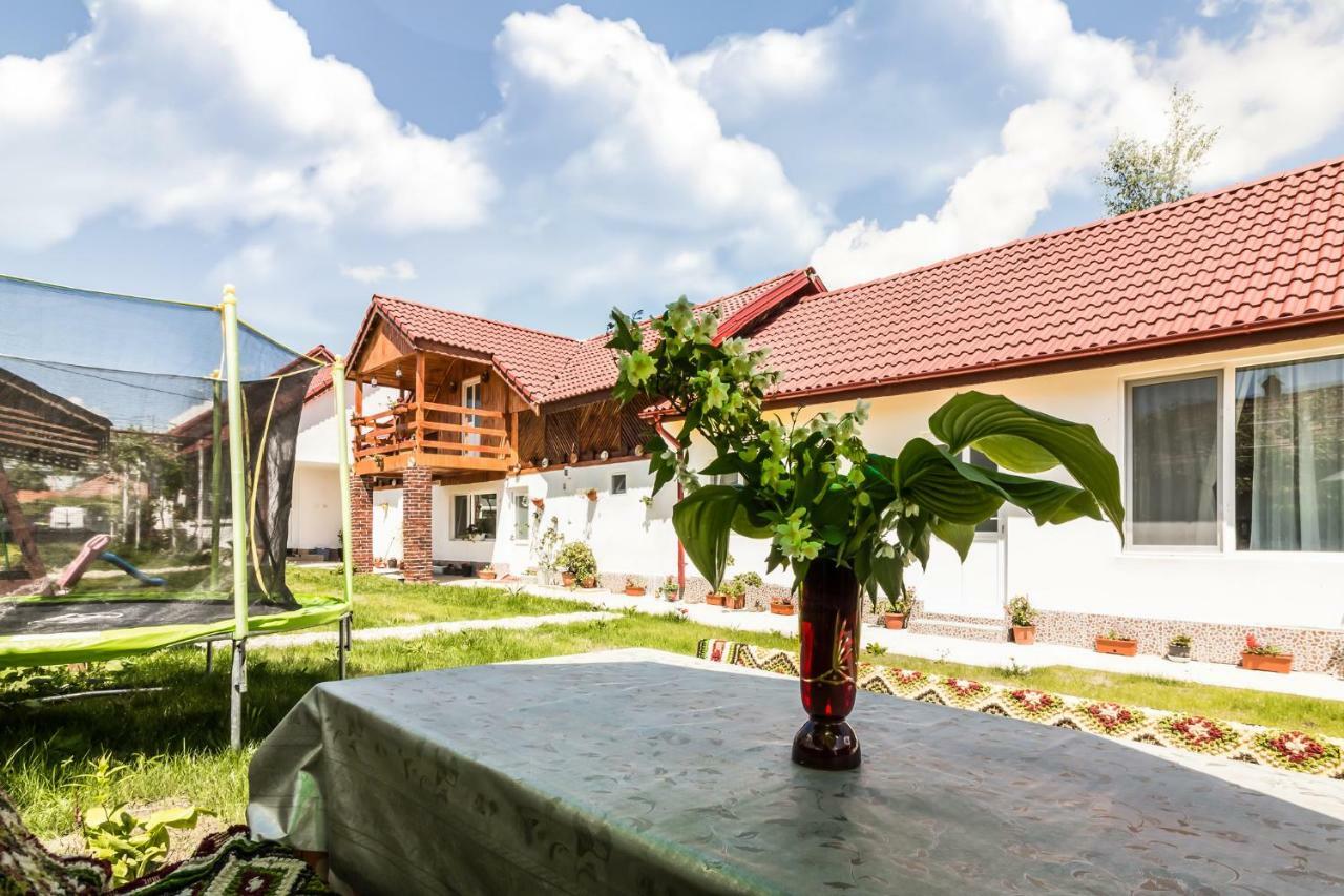 Casa De Vacanta Marya Baia de Fier Luaran gambar